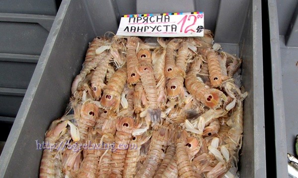 Langusta