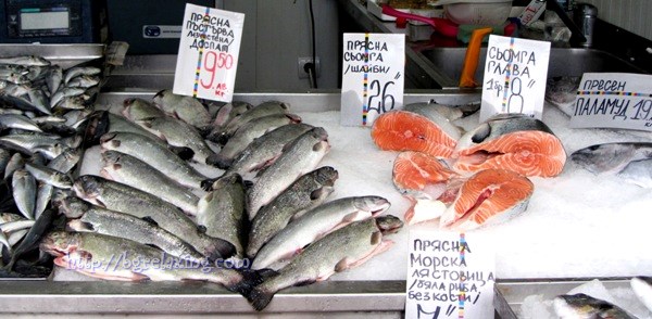 Pastrva-forel