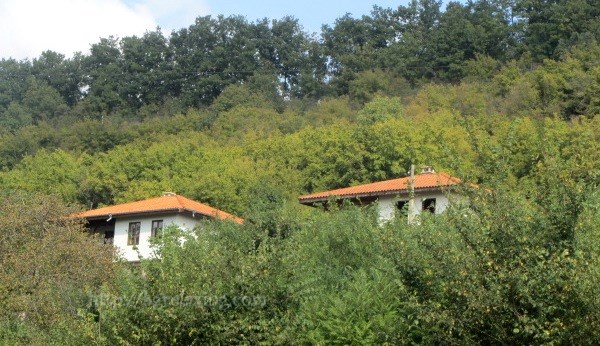 Rybatskie-domiki